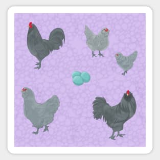 Blue Ameraucana Pattern Purple Sticker